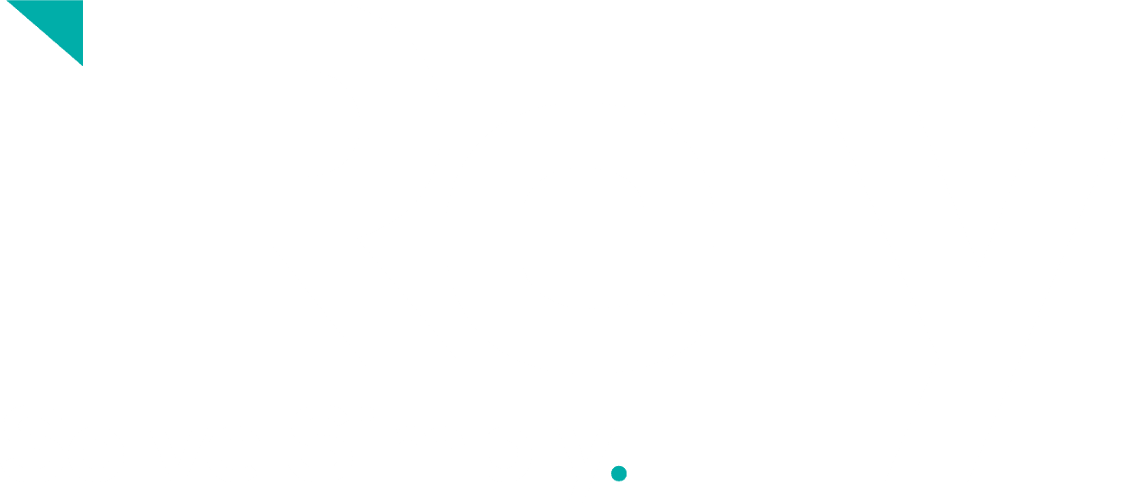 iRely_Logo_Tag_WHT